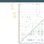 NEXAS: A Visual Tool for Navigating and Exploring Argumentation Solution Spaces