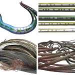 On-Tube Attribute Visualization for Multivariate Trajectory Data